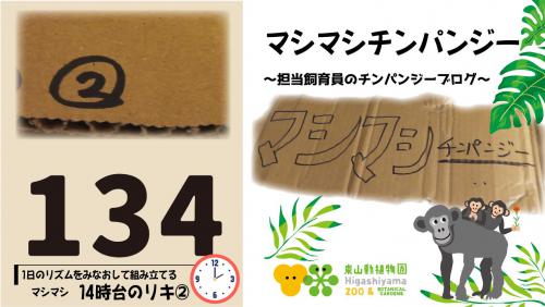 ブログ記事「マシマシチンパンジー『第134回〜1日のリズムをみなおして組み立てるマシマシ～14時台のリキ②〜』」のサムネイル画像