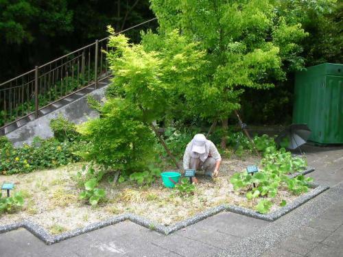 写真⑨_無害化済.jpg