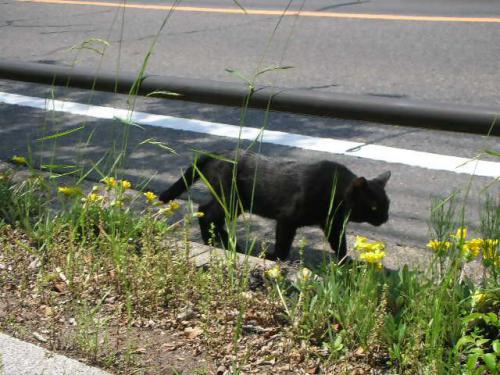 写真⑬_無害化済.jpg