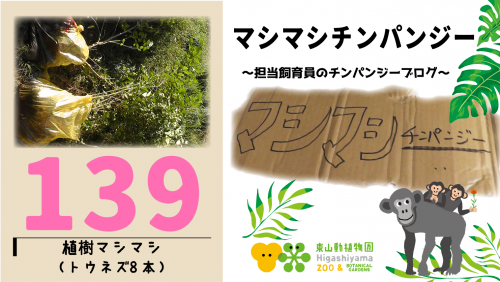 ブログ記事「マシマシチンパンジー『第139回 植樹マシマシ』」のサムネイル画像