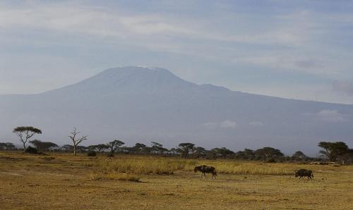 アフリカ最高峰のキリマンジャロ.JPG