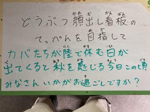 ブログ記事「どうぶつ顔出し看板のてっぺんを目指して」のサムネイル画像