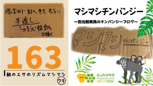 ブログ記事「マシマシチンパンジー『第163回 朝のエサのリズムマシマシ79～雨なのでB1へきてもらい手渡し～』」のサムネイル画像