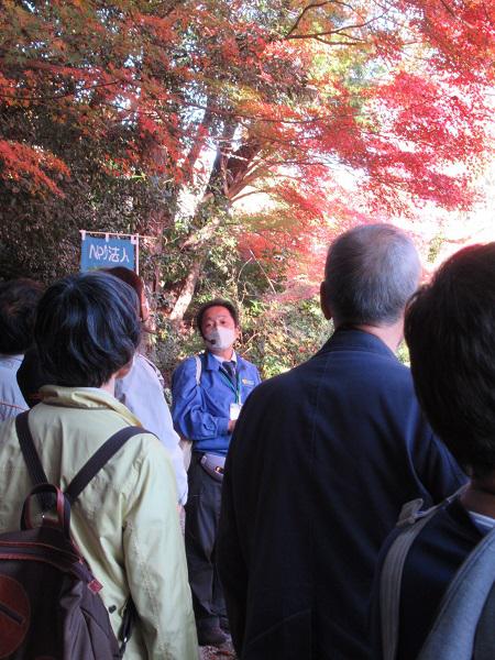 01'紅葉のメカニズムについて話す植物園長'.JPG