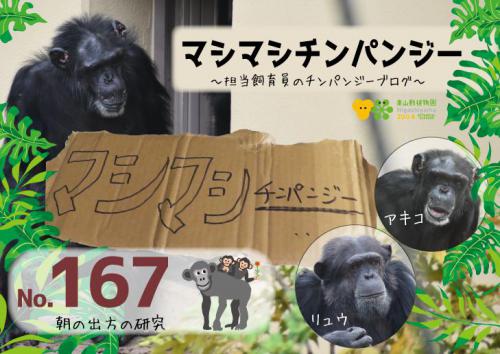 ブログ記事「マシマシチンパンジー『第167回 朝の出方の研究』」のサムネイル画像