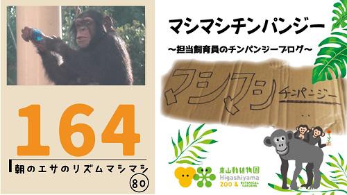 ブログ記事「マシマシチンパンジー『第164回 朝のエサのリズムマシマシ80～細かく全体＋カラーボール（久しぶり）～』」のサムネイル画像