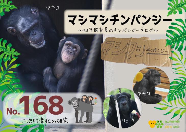 ブログ記事「マシマシチンパンジー『第168回 二次的変化の研究』」のサムネイル画像
