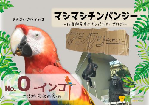 ブログ記事「マシマシチンパンジー『第0回‐インコ：二次的変化の過去の実例』」のサムネイル画像