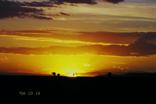 サバンナの美しい夕日.JPG