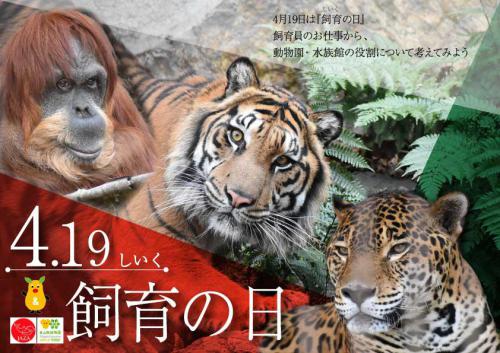 ブログ記事「飼育の日２０２３」のサムネイル画像