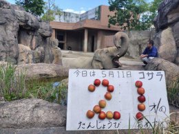 ブログ「21歳になりました」のサムネイル画像
