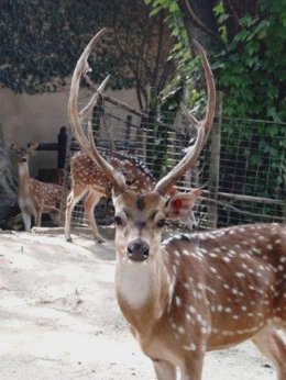 ブログ「三者三様」のサムネイル画像