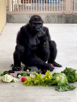 ブログ「ひとり生活満喫中！？」のサムネイル画像