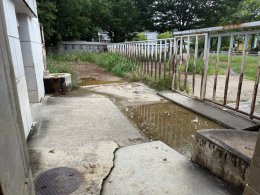 ブログ「クロサイの暑熱対策について」のサムネイル画像
