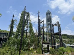 ブログ「「オランウータンの運動場に木を増やそう」を開催しました」のサムネイル画像