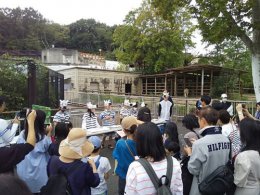 ブログ「「東山こどもガイド」今年も募集します」のサムネイル画像