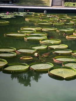 ブログ「まだまだ暑いですね」のサムネイル画像