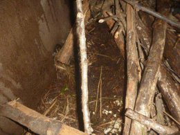 ブログ「お宅訪問」のサムネイル画像