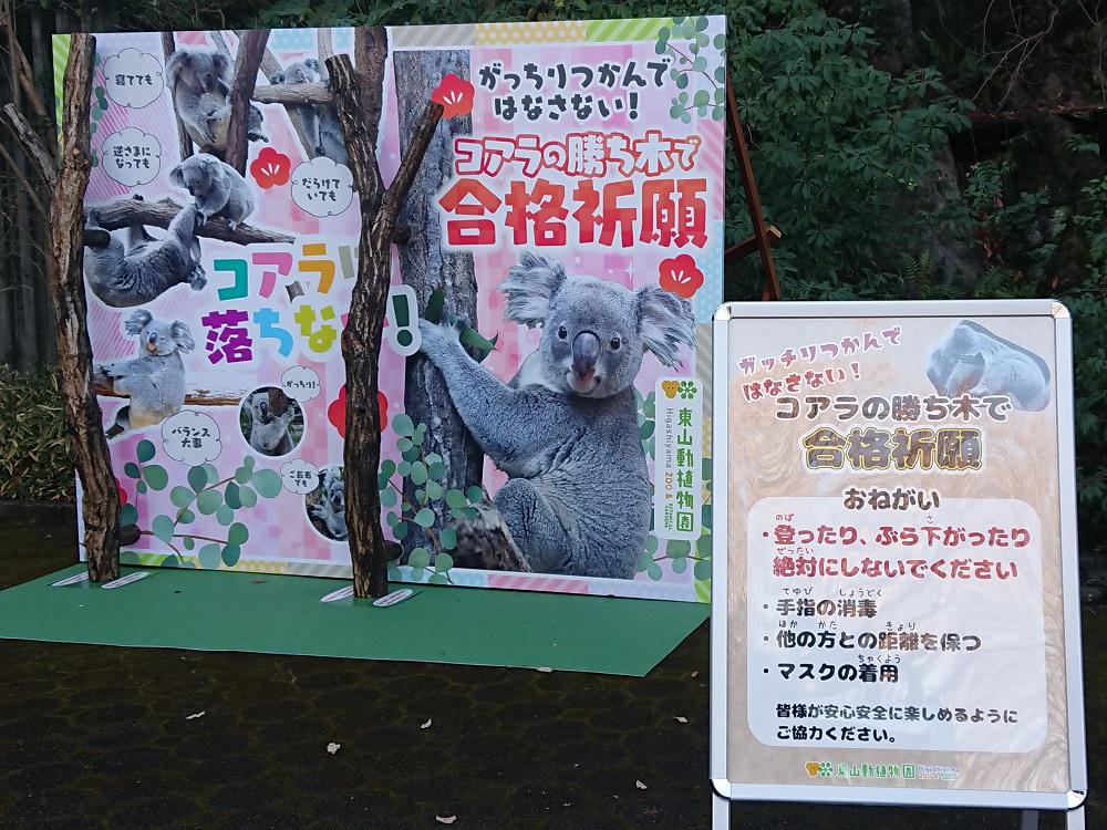 お正月もひがしやま２０２２ イベントカレンダー 東山動植物園