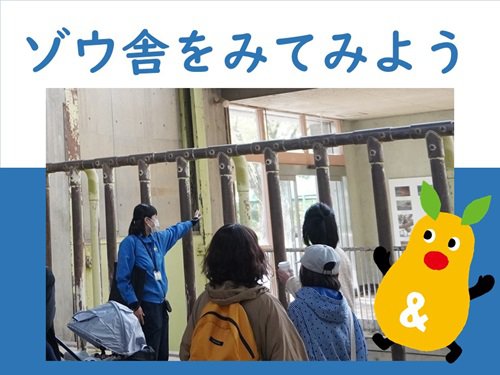 ゾウ舎をみてみよう.jpg
