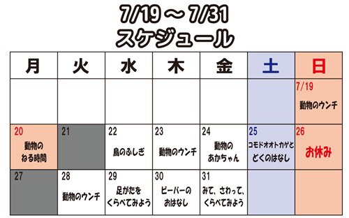 7月解説員による動物のおはなしスケジュール.jpg