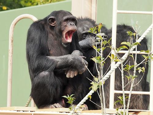 イベント「ゴールデンウィーク動物講座」の画像3