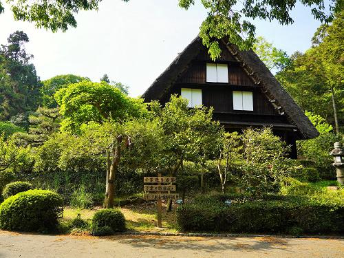 イベント「こどもの日と菖蒲湯について学ぼう」の画像3