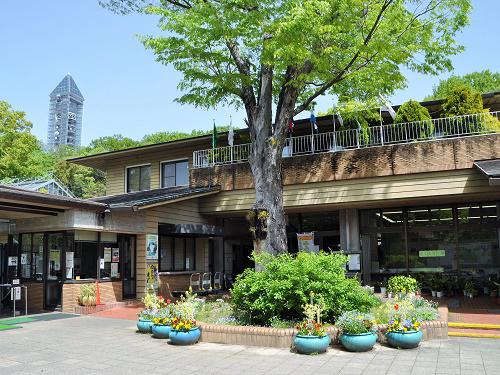 自分で作る花の香水 バラ 春の花など イベントカレンダー 東山動植物園