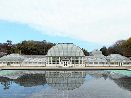 イベント「ボタニカルトーク（温室トーク）」の画像3