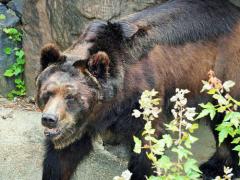 イベント「ゴールデンウィーク動物講座」のサムネイル画像