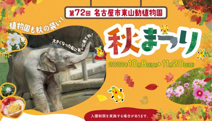 イベント「第72回東山動植物園秋まつり」の画像3