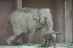 イベント「動物講演会」のサムネイル画像