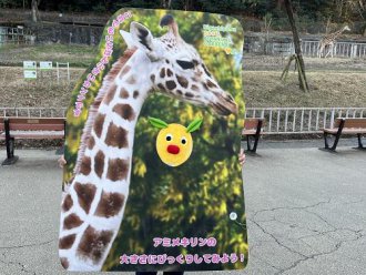 イベント「フォトスポット企画」のサムネイル画像