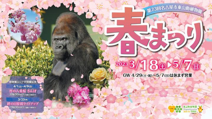イベント「第73回東山動植物園春まつり」の画像3