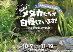 イベント「小さな命を繋いで30年　世界のメダカ館特別展」のサムネイル画像