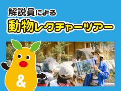 イベント「動物レクチャーツアー」のサムネイル画像