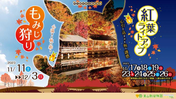 イベント「紅葉ライトアップ開催日」の画像3