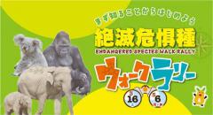 イベント「絶滅危惧種ウォークラリー」のサムネイル画像