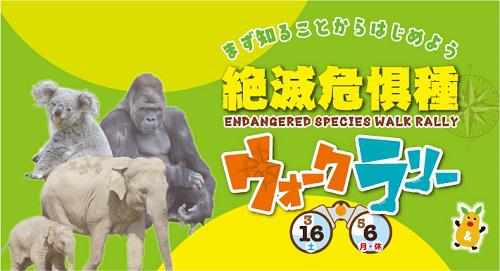 イベント「絶滅危惧種ウォークラリー」の画像3