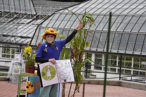 イベント「ボタニカルトーク」の画像3