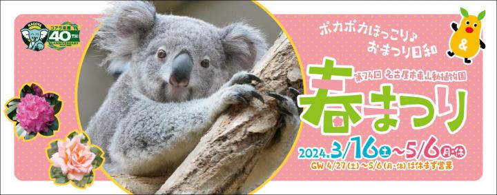 イベント「第74回東山動植物園春まつり」の画像3