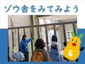 環境教育解説員によるスペシャルプログラム『ゾウ舎をみてみよう』