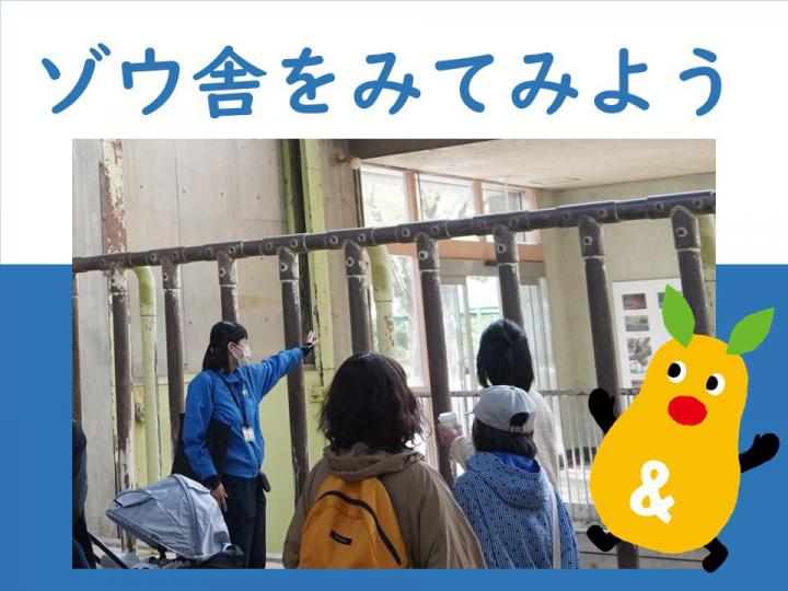 イベント「環境教育解説員によるスペシャルプログラム『ゾウ舎をみてみよう』」の画像3