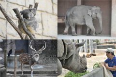 イベント「動物レクチャーツアー（こども向け講座）」のサムネイル画像