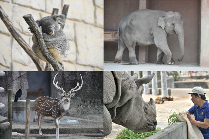 イベント「 動物レクチャーツアー（こども向け講座）」の画像3