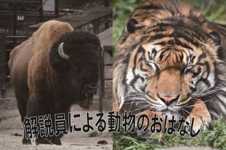 イベント「解説員による動物のおはなし」のサムネイル画像