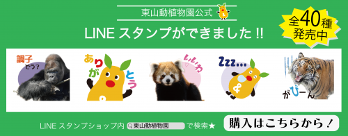ラインスタンプ.png