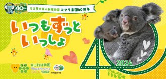 イベント「コアラ来園40周年記念式典」のサムネイル画像