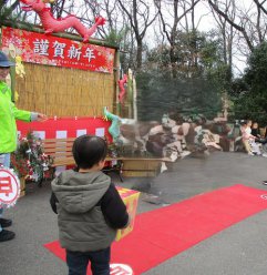 イベント「遊園地　新春サイコロバトル」のサムネイル画像