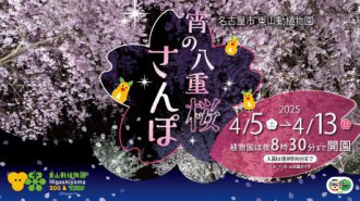 イベント「宵の八重桜さんぽ２０２５」のサムネイル画像